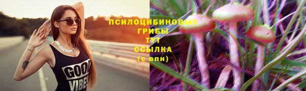ALPHA-PVP Арсеньев