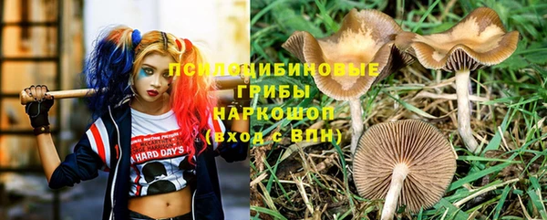 дурь Алексин