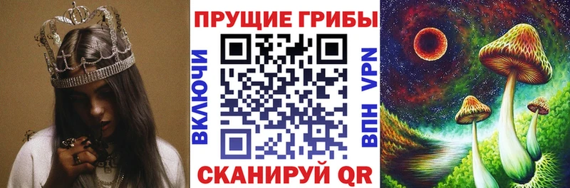 закладки  Буй  Галлюциногенные грибы мухоморы 