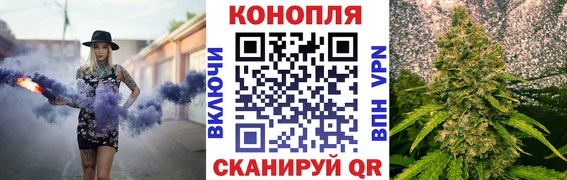Конопля AK-47  магазин продажи наркотиков  Буй 